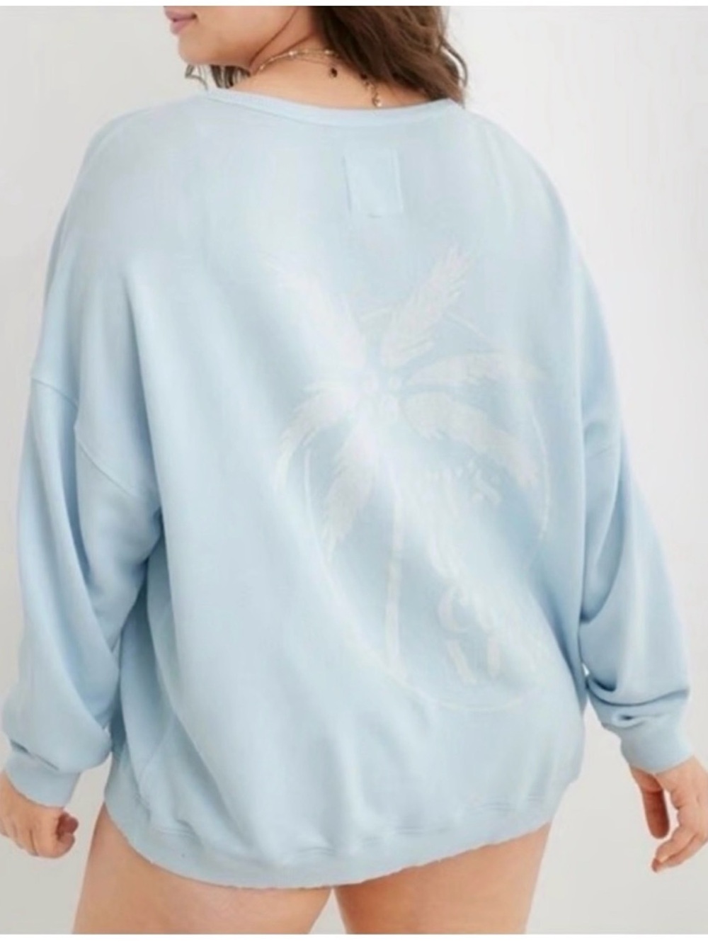 Aerie “Lets Go Coconuts” Blue Crewneck Pullover Sweatshirt with Palm Graphic